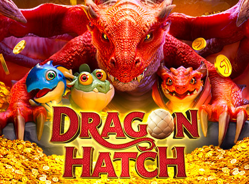 Dragon Hatch, apostas lucrativas, estratégias de apostas, gestão do bankroll, comunidades de jogadores